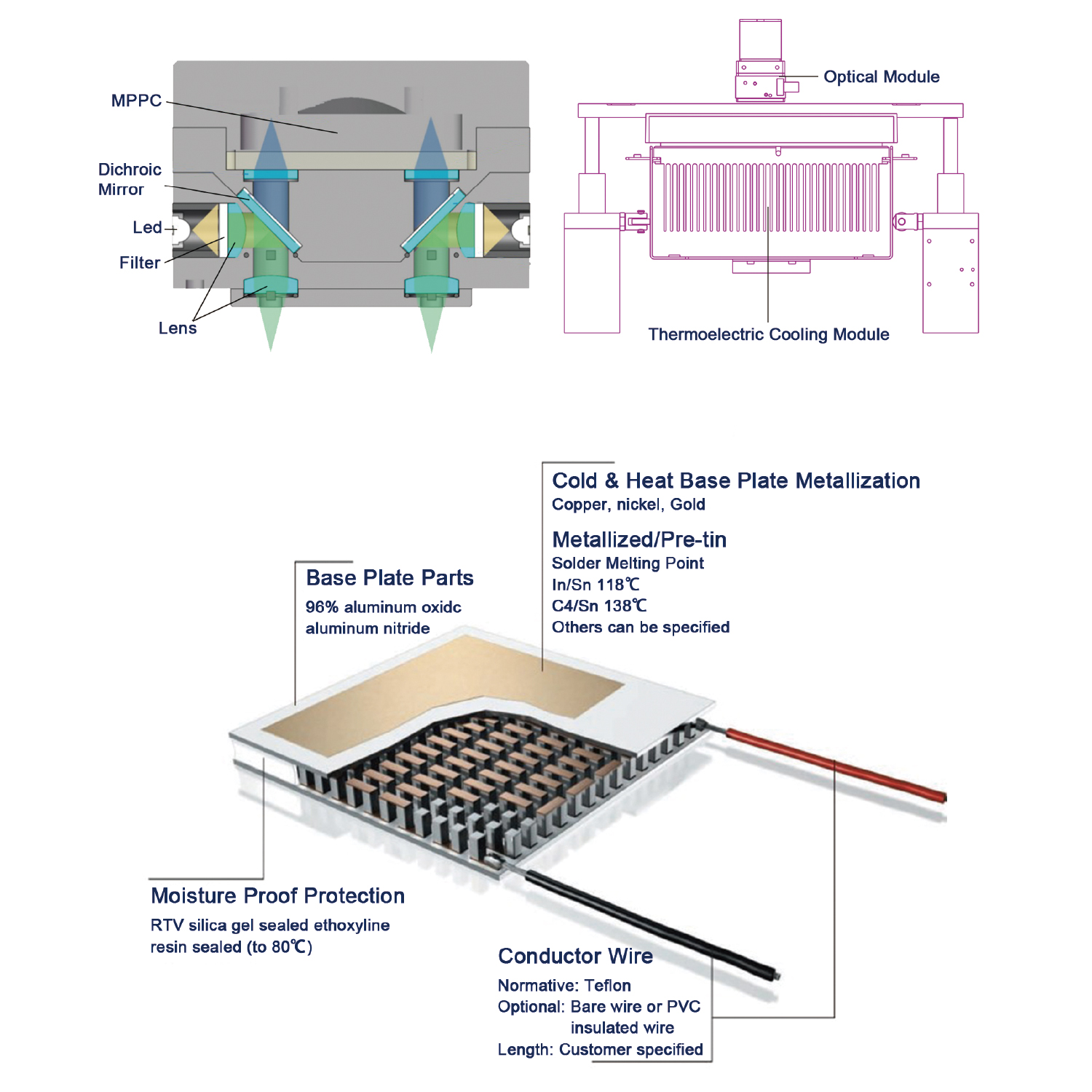 Fluorescence quantitative Detection System for COVID-19 Testing