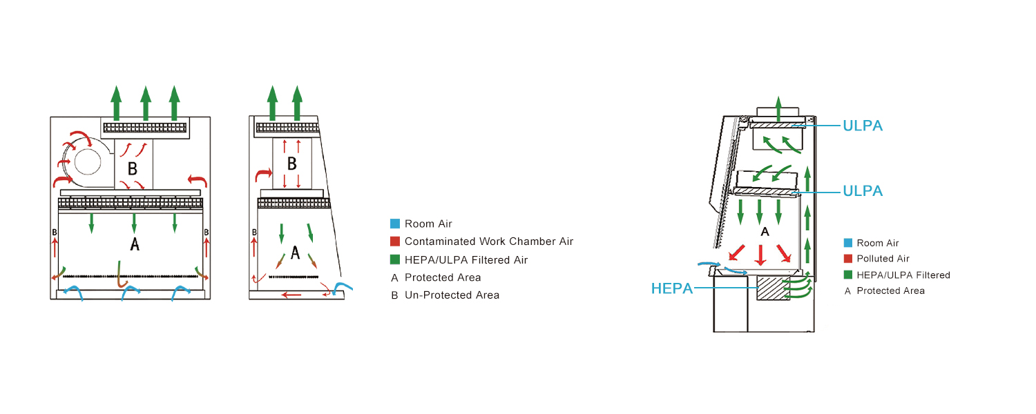 How Effective are the Biosafety Cabinet's HEPA and ULPA Filters Against the SARS-CoV-2?